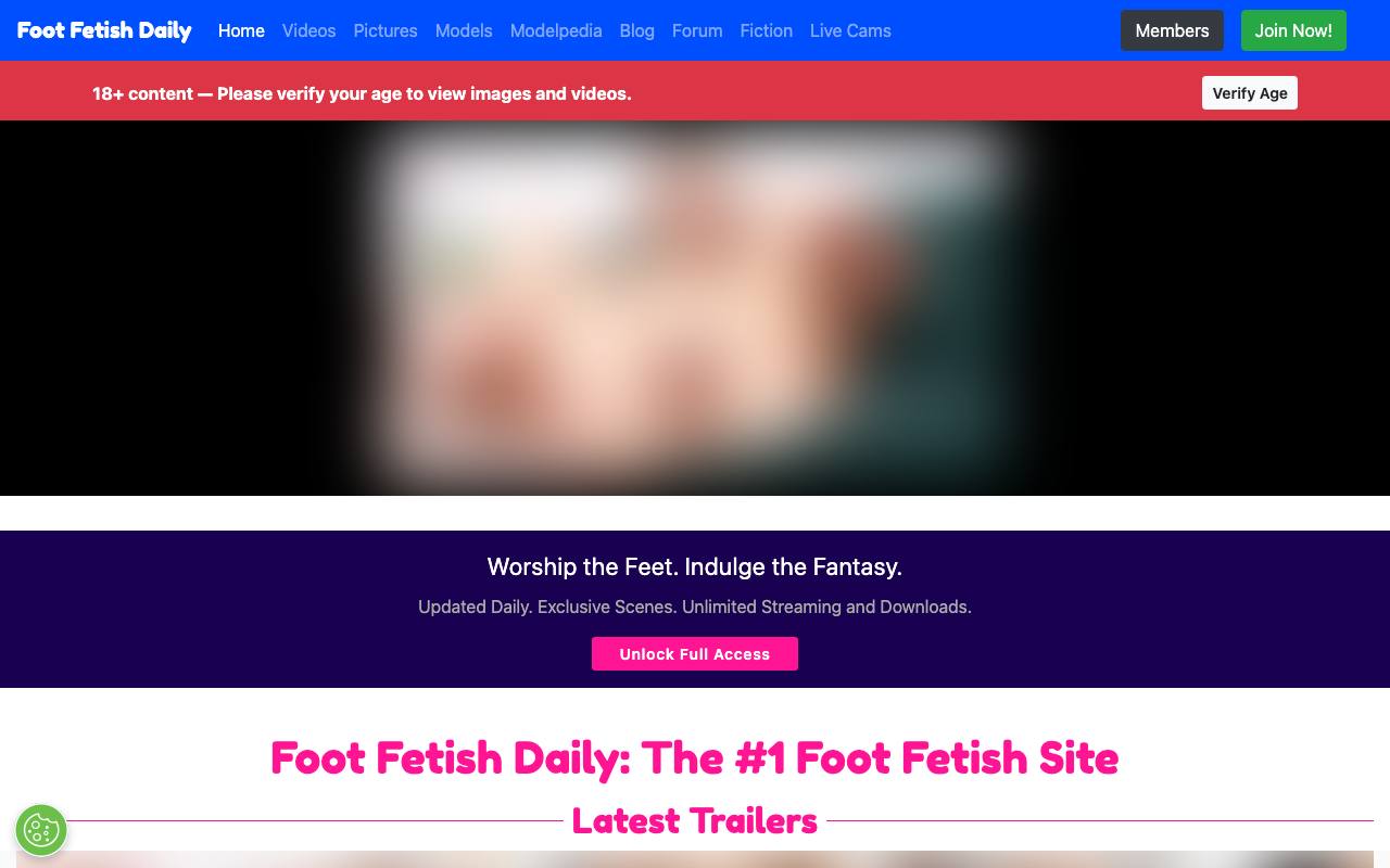 Foot Fetish Daily screenshot