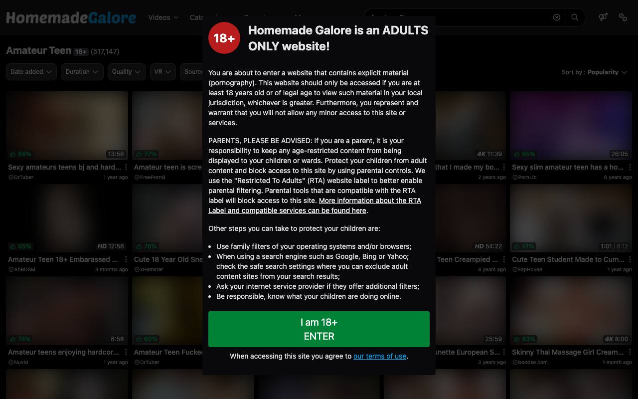HomemadeGalore screenshot