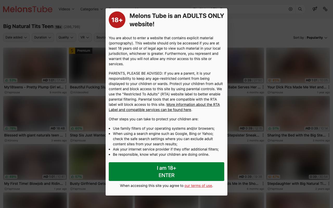 MelonsTube screenshot