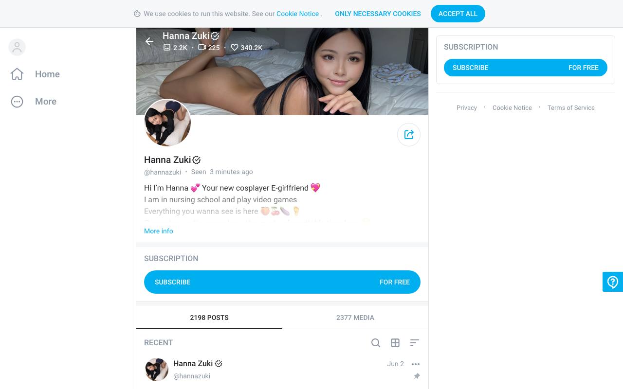 Hanna Zuki screenshot