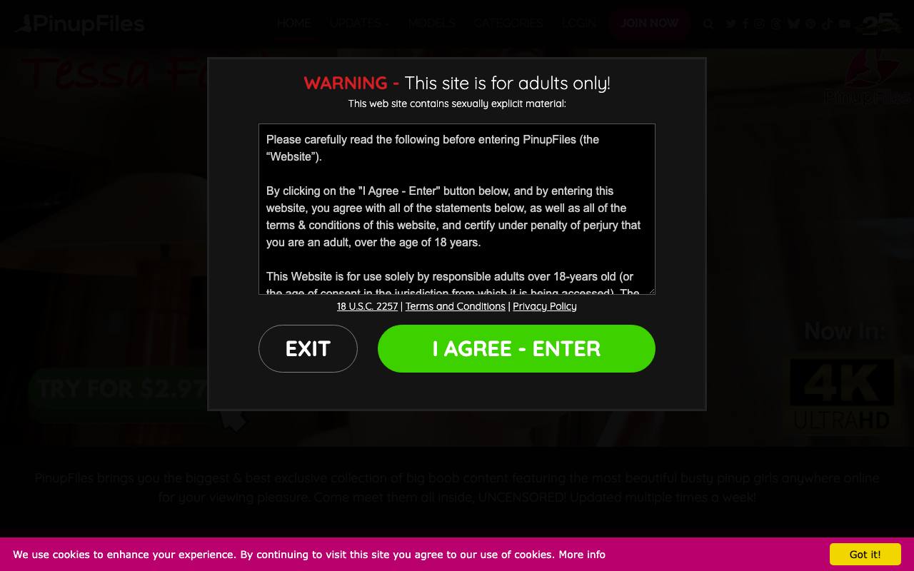PinupFiles screenshot