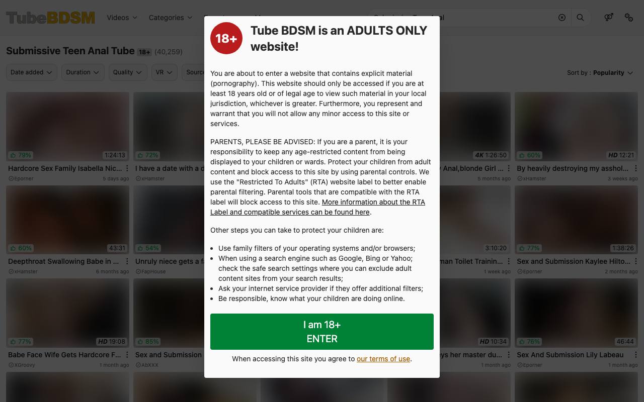 TubeBDSM screenshot