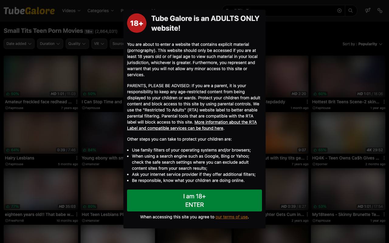 TubeGalore screenshot